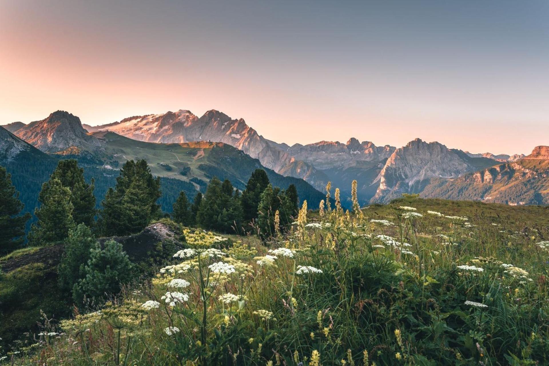 B&B Cesa Planber Mountain View Bike Friendly Canazei Dış mekan fotoğraf