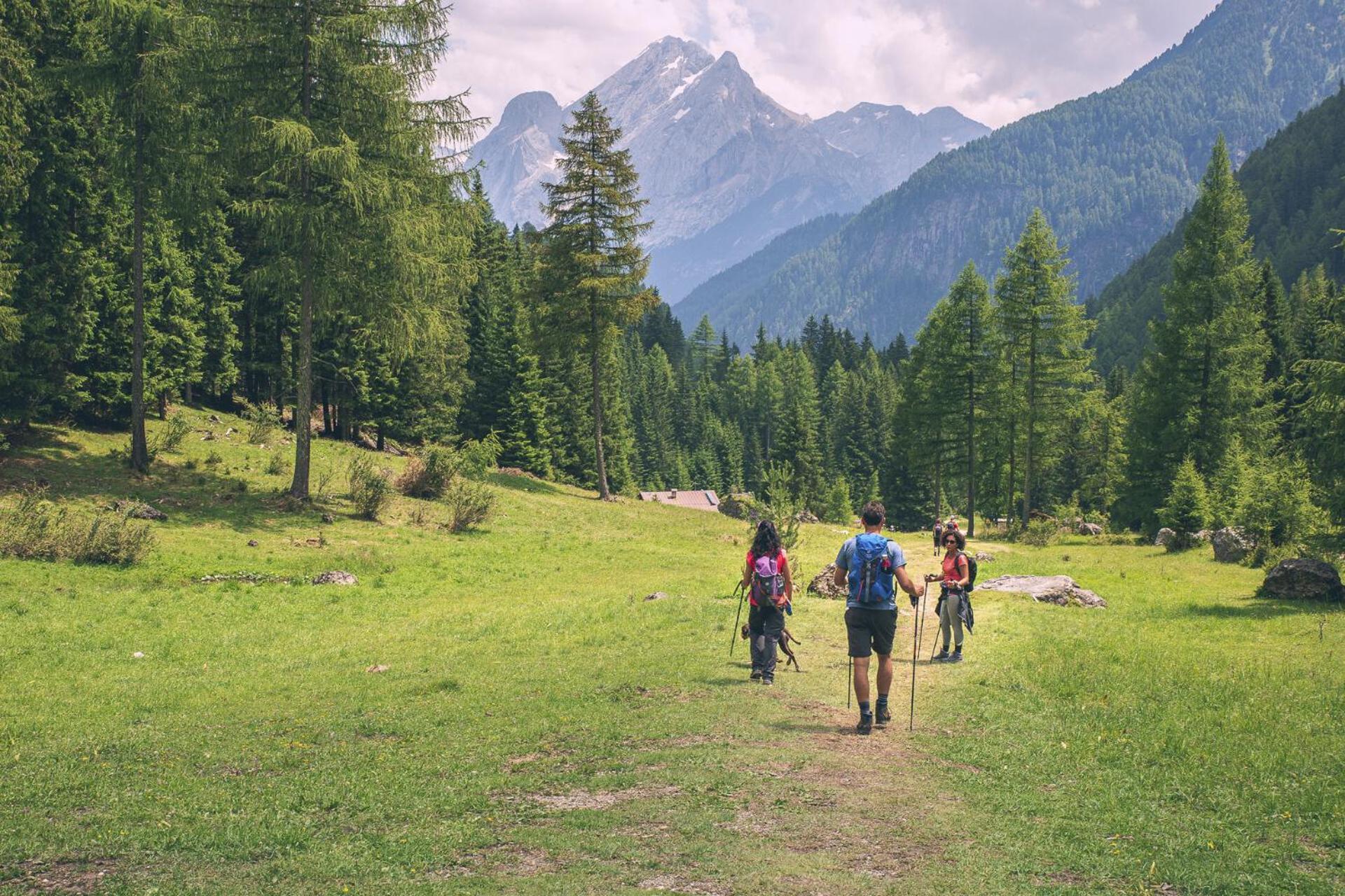 B&B Cesa Planber Mountain View Bike Friendly Canazei Dış mekan fotoğraf